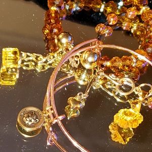 Alex and Ani bundle wild spirit